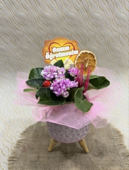 3 Ayak Saksı da Menekşe 