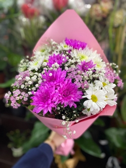 Pembe&Beyaz Kasımpatı 