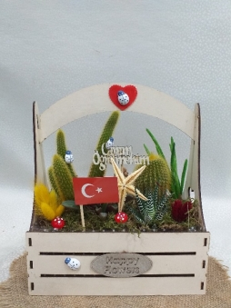Sepetde kaktüs arajmanı