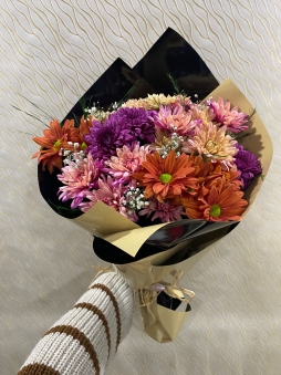 Kahve Tonlarında Kasımpatı