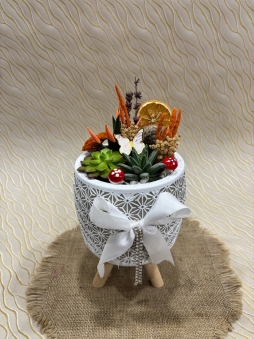 Dekoratif Sukulent Bahçesi