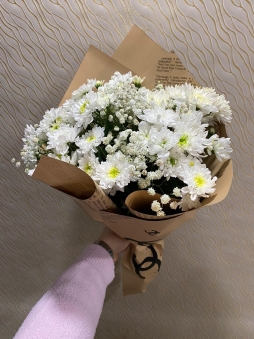 Kahve Kağıtta Beyaz Kasımpatı