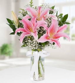 Vazoda Pembe Lilyum 