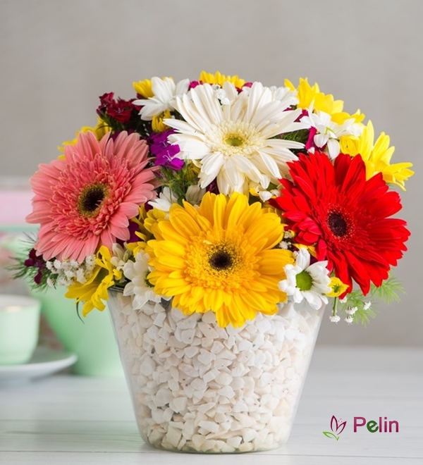 Gerbera Ve Kır Çiçekleri Şöleni